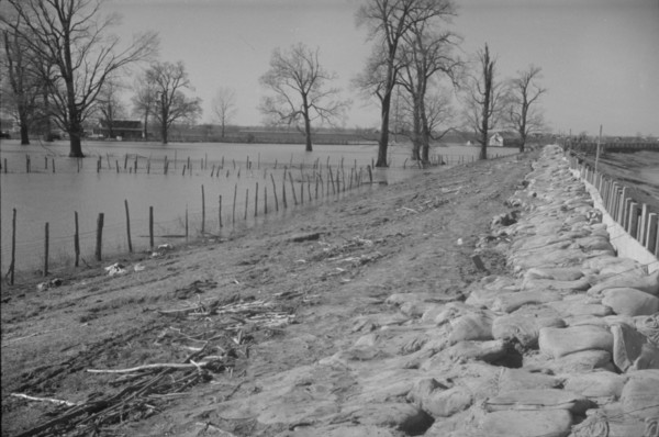 The Bessie Levee augmented with sand bags during the 1937 flood. Near Tiptonville, Tennessee.