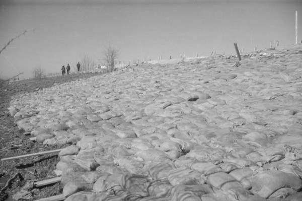 The Bessie Levee augmented with sand bags during the 1937 flood near Tiptonville, Tennessee.