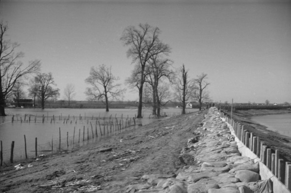 The Bessie Levee augmented with sand bags during the 1937 flood near Tiptonville, Tennessee.