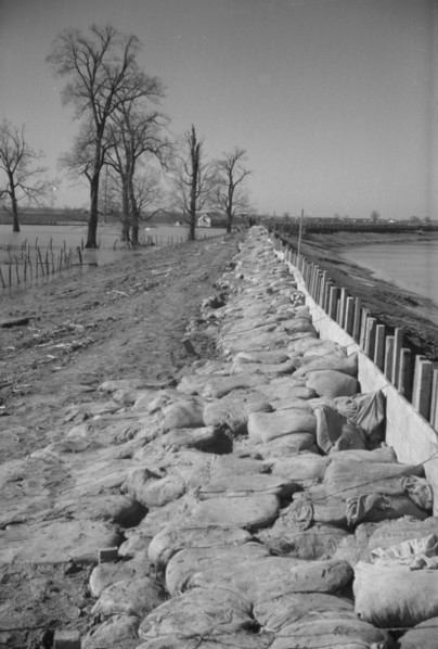 The Bessie Levee augmented with sand bags during the 1937 flood near Tiptonville, Tennessee.