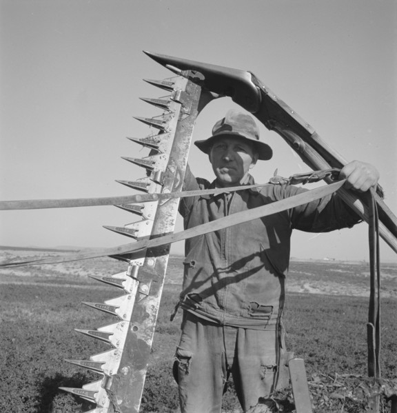 Mr. Browning in his field getting ready to mow hay. Dead Ox Flat, Malheur County, Oregon.