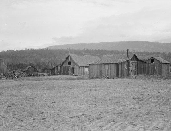Partly-developed stump ranch seen across cleared grain field. Boundary County, Idaho.