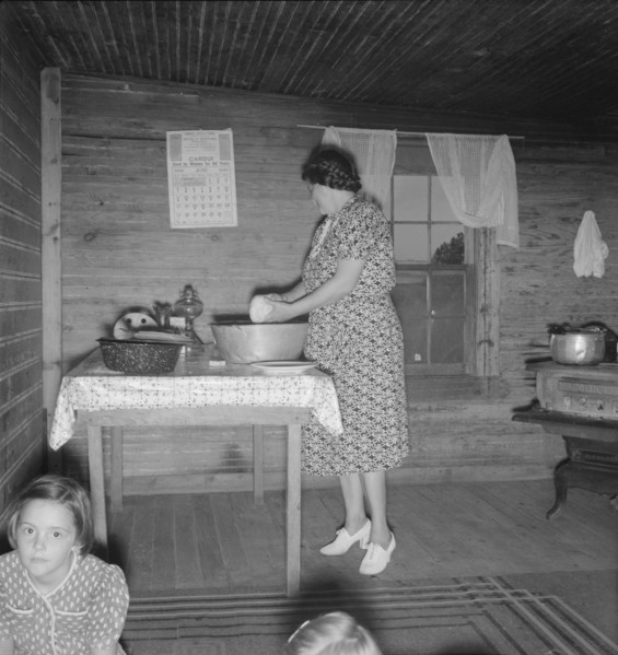 Wife of tobacco sharecropper in kitchen of home. Person County, North Carolina.