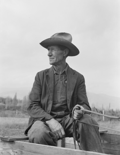 Ex-Nebraska farmer now developing farm out of the stumps. Bonner County, Idaho.
