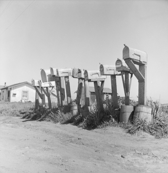 Mail boxes of lettuce workers. Settlement on outskirts of Salinas, California.