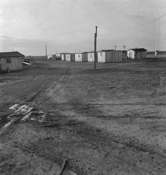 Newly-built cabins, rent five dollars per month. California. Near Bakersfield.