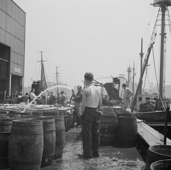 New York, New York. Watering fish at the Fulton fish market with brine water.