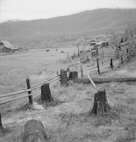 Fenced pasture on cut-over farm. Priest River Valley, Bonner County, Idaho.