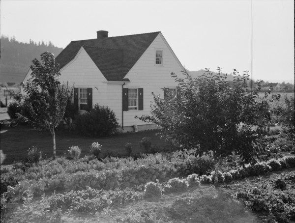 Washington, Cowlitz County, Longview. Home on Longview homestead project.