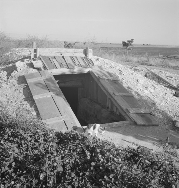 Storage cellar, typical of area. Dead Ox Flat, Malheur County, Oregon.