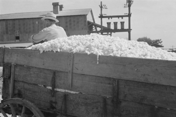 At the cotton gin. Cotton gin and wagons. Hale County, Alabama.