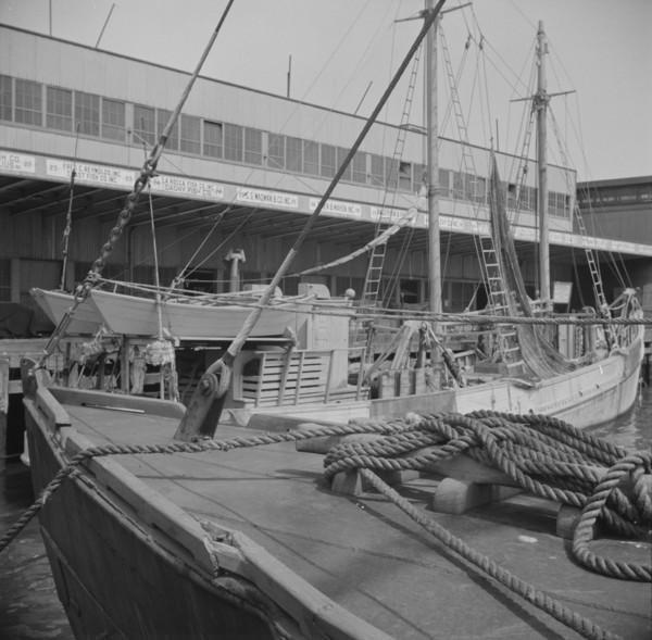 New York, New York. A scene at the Fulton fish market.