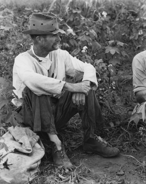 Bud Fields in his cotton patch. Hale County, Alabama.