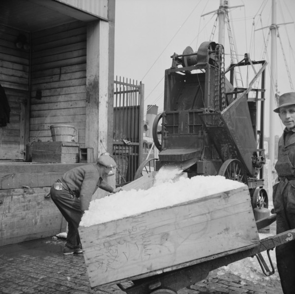 New York, New York. Ice used to store fish in ships.