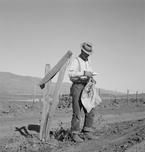 Farmer getting the morning mail. Gem County, Idaho.