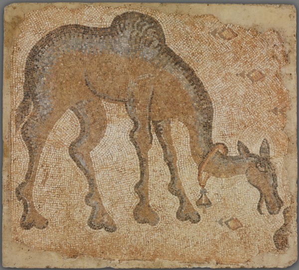 Mosaic Fragment with Grazing Camel, 5th century.
