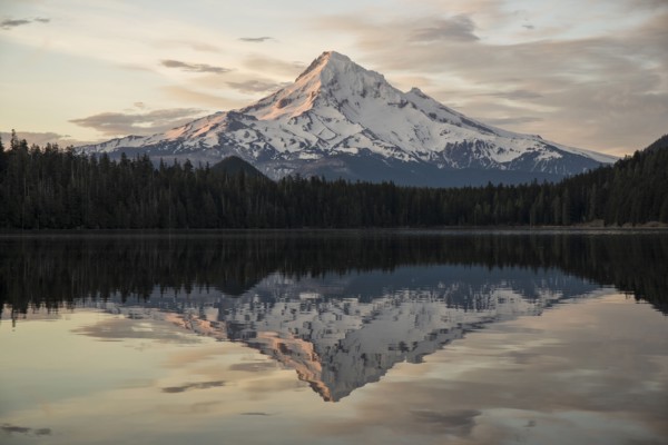Mount Hood Morning.