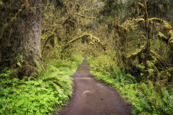 Path of Solitude.