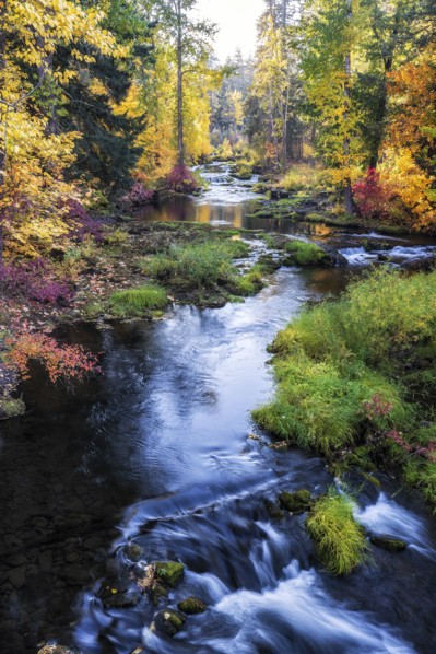 Autumn Colors.
