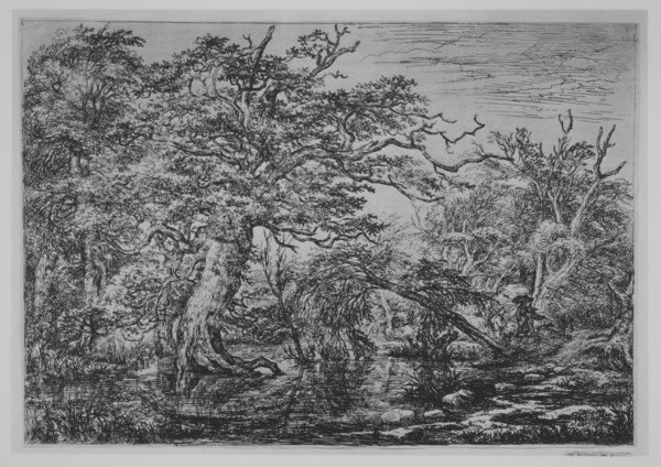 A Forest Marsh with Travelers on a Bank (The Travelers), 17th century. Creator: Jacob van Ruisdael.