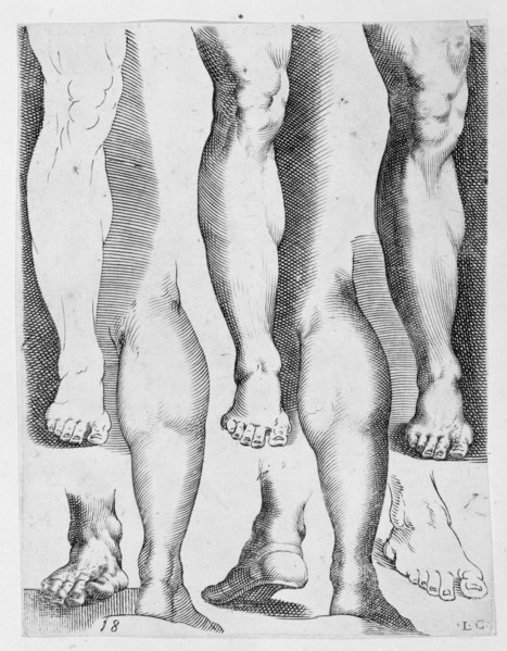Five Legs and Three Feet, 17th century., 17th century. Creator: Luca Ciamberlano.
