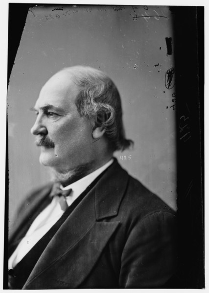 Joseph Ewing McDonald of Indiana, between 1870 and 1880. Creator: Unknown.