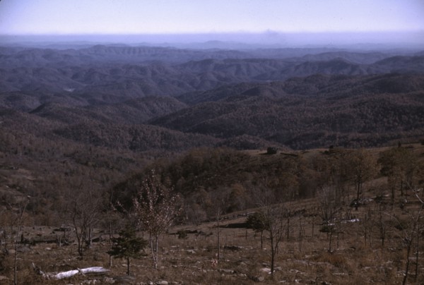View from the Skyline Drive, Virginia., ca. 1940. Creator: Jack Delano.