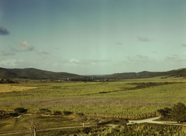 Sugar cane land, Yabucoa Valley? Puerto Rico, 1941. Creator: Jack Delano.