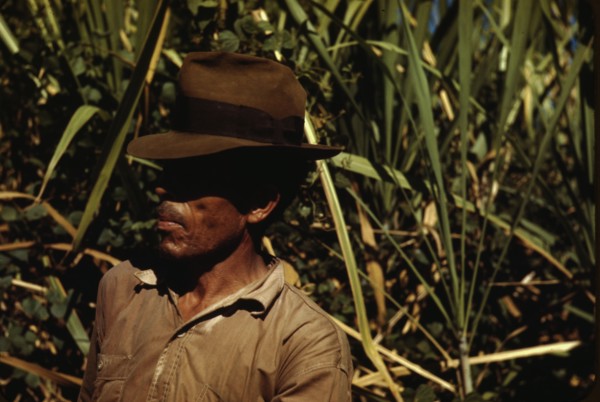 FSA borrower who is a member of a sugar cooperative, vicinity of Rio Piedras, Puerto Rico, 1942. Creator: Jack Delano.