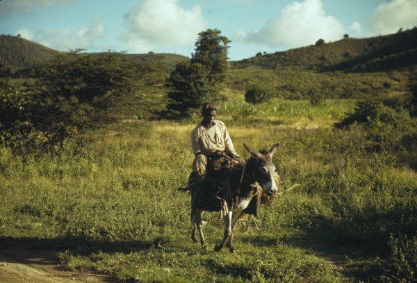St. Croix, Virgin Islands, 1941. Creator: Jack Delano.