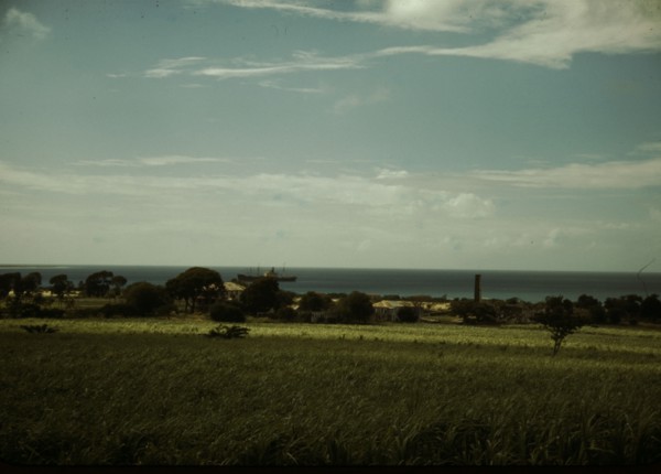 The coast of St. Thomas? Virgin Islands, 1941. Creator: Jack Delano.
