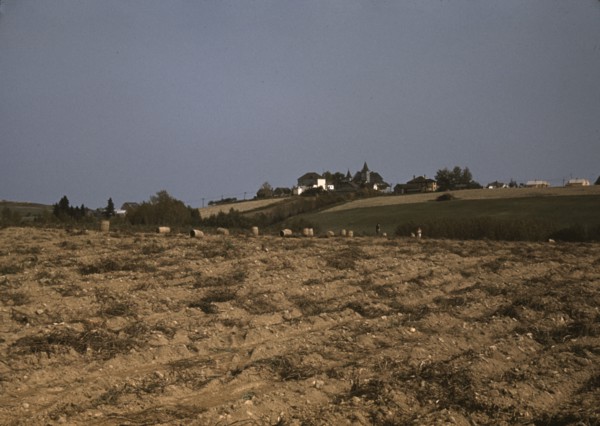 Farm in the vicinity of Van Buren, Aroostook County, Me., 1940. Creator: Jack Delano.