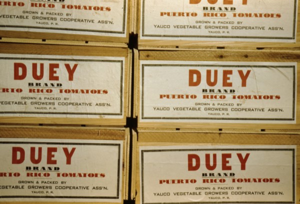 Tomato crates at the Yauco cooperative tomato growers' association, Puerto Rico, 1942. Creator: Jack Delano.
