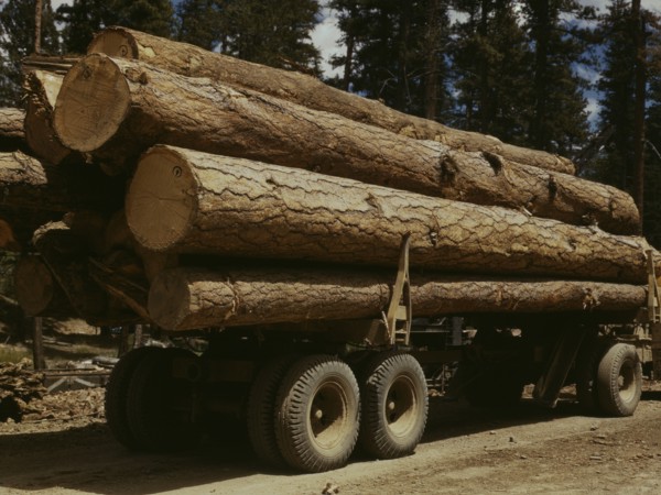 Truck load of ponderosa pine, Edward Hines Lumber Co. operations..., Grant County, Oregon, 1942. Creator: Russell Lee.