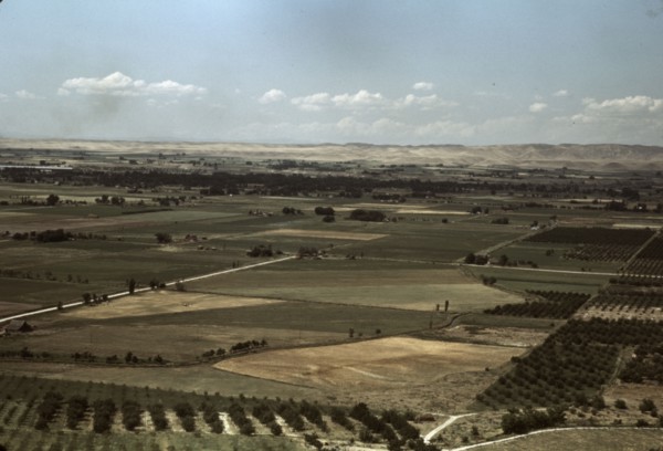 Cherry orchards and farming land, Emmett, Idaho, 1941. Creator: Russell Lee.