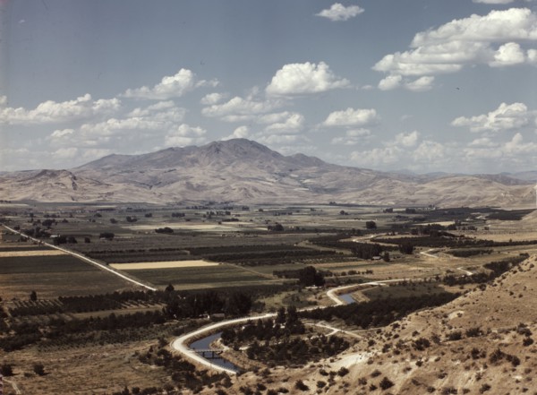 Cherry orchards, farm lands and irrigation ditch at Emmett, Idaho, 1941. Creator: Russell Lee.