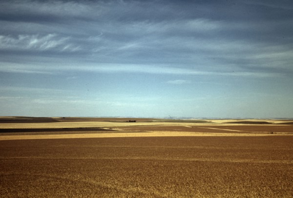 Wheat farm, Walla Walla, Washington, 1941. Creator: Russell Lee.