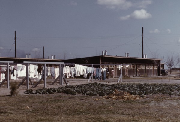 Community clothesline, FSA ... camp, Robstown, Tex., 1942. Creator: Arthur Rothstein.