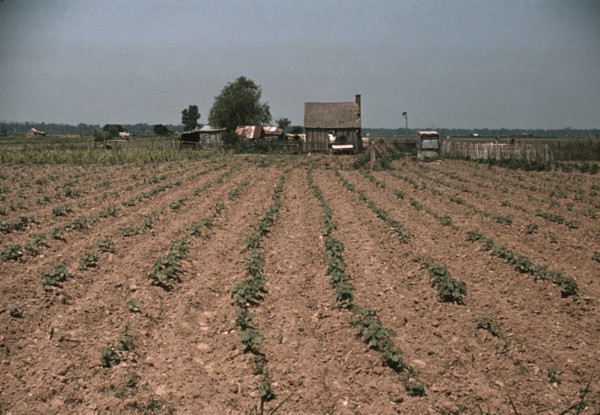 Farm in southern U.S. ... Louisiana?, ca. 1940. Creator: Marion Post Wolcott.