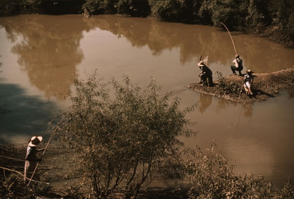 Negroes fishing in creek near cotton plantations outside Belzoni, Miss., 1939. Creator: Marion Post Wolcott.