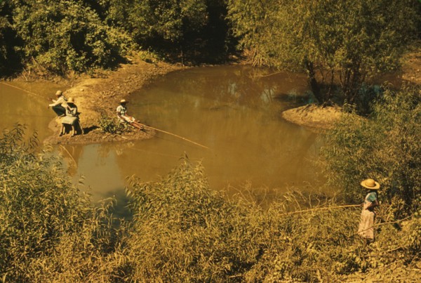 Negroes fishing in creek near cotton plantations outside Belzoni, Miss. Delta, 1939. Creator: Marion Post Wolcott.