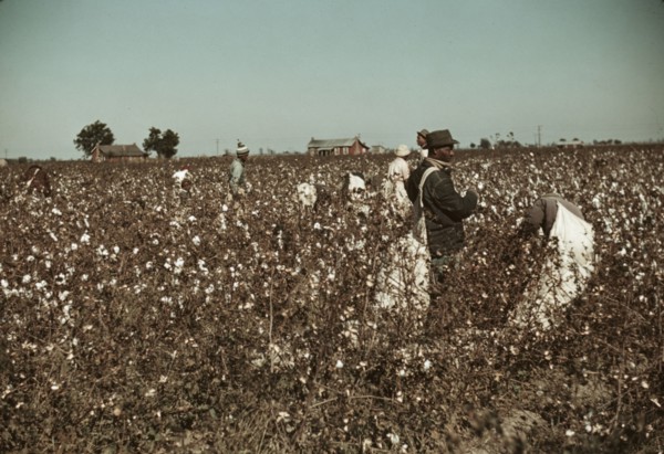 Day laborers picking cotton near Clarksdale, Miss., 1939. Creator: Marion Post Wolcott.