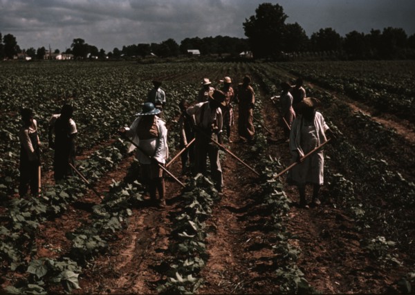 Bayou Bourbeau plantation operated by Bayou Bourbeau Farmstead Assoc..., Natchitoches, La., 1940. Creator: Marion Post Wolcott.