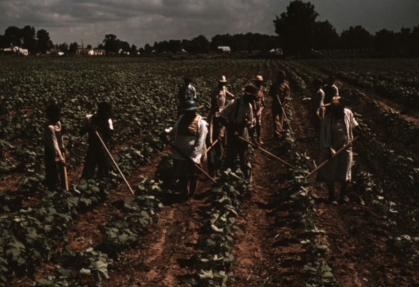 Bayou Bourbeau plantation operated by Bayou Bourbeau Farmstead Assoc..., Natchitoches, La., 1940. Creator: Marion Post Wolcott.