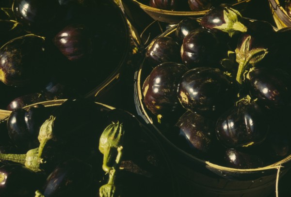 Baskets of eggplants, between 1941 and 1942. Creator: Unknown.