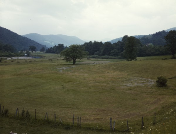 Farmland along the upper Delaware River in New York state, 1943. Creator: John Collier.