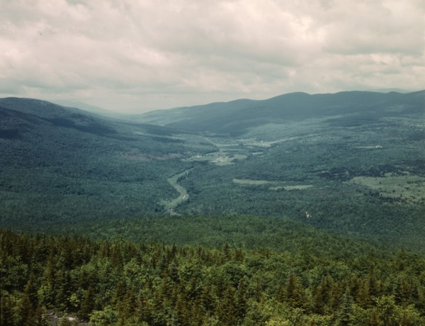 White Mountains National Forest, New Hampshire, 1943. Creator: John Collier.