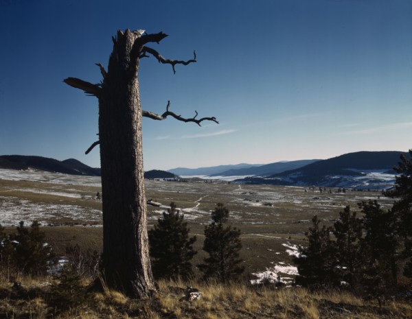 Moreno Valley, Colfax County, New Mexico, 1943. Creator: John Collier.