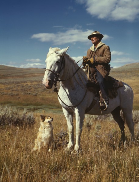 Shepherd with his horse and dog on Gravelly Range, Madison County, Montana, 1942. Creator: Russell Lee.