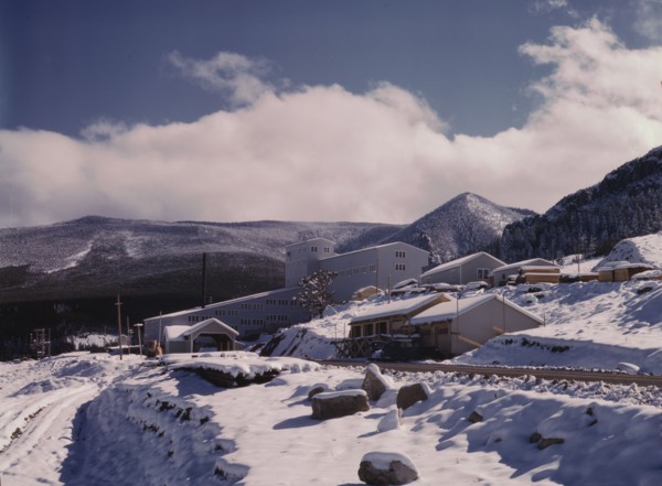 First snow of the season in the foothills of the Little Belt Mount..., Meagher County, Montana, 1942 Creator: Russell Lee.